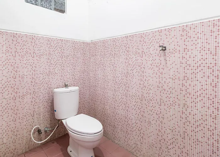 Oyo Life 93504 Kost Krisna 2* Temukus
